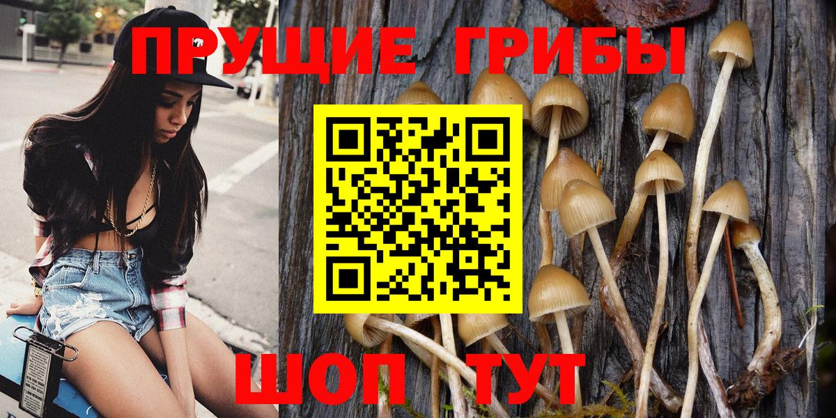 Псилоцибиновые грибы MAGIC MUSHROOMS  Галлюциногенные грибы прущие грибы  Стрежевой  Вход с VPN 